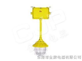 防爆照明应急灯BYC6200 安全与应急的完美结合